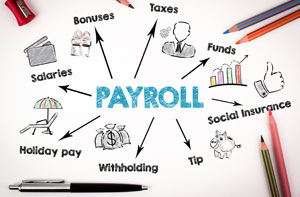 Payroll Services St Erney